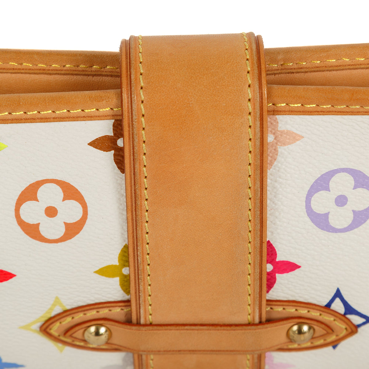 Louis Vuitton Brown And Multicolor Monogram Cameo Coated Canvas